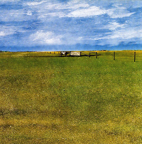 «Скільки бачить око». Полотно, авторська техніка